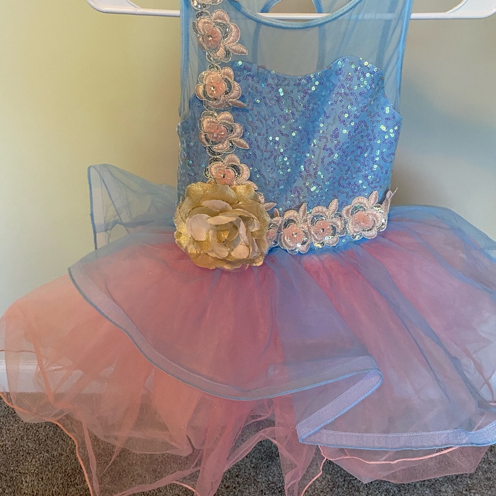 Girl’s Ballet Dance Halloween Costume Sz 10-12